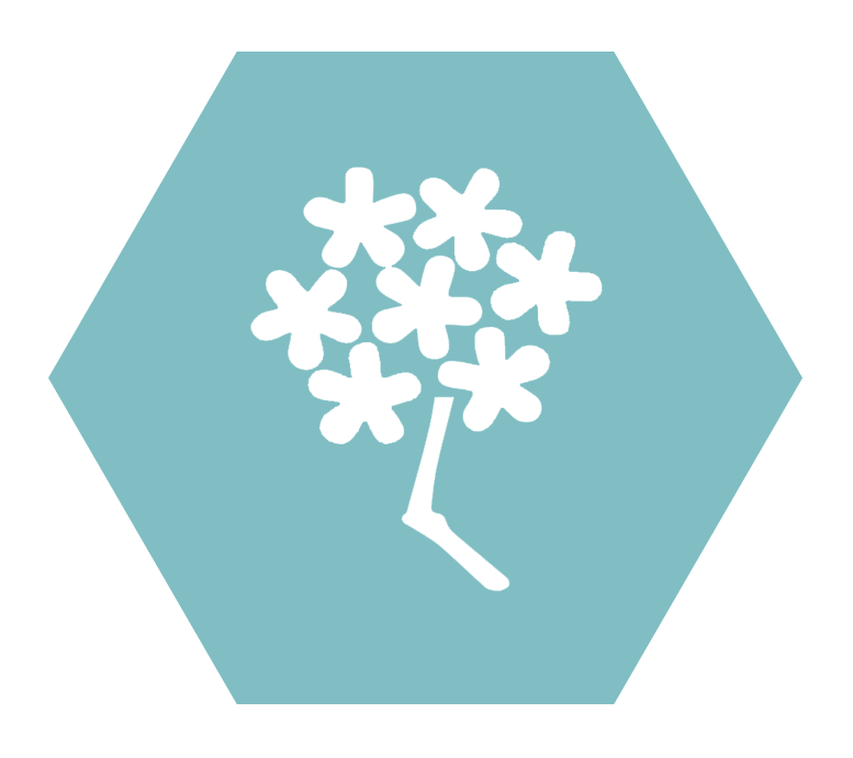 malaga con todas icon